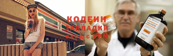 PSILOCYBIN Алзамай