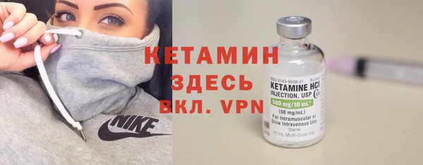 гашик Алексин
