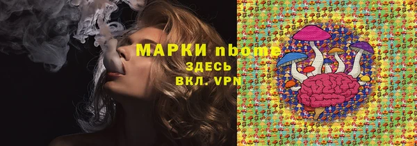 гидра Алексеевка