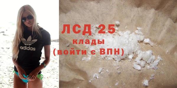 гашик Алексин