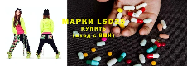 гашик Алексин