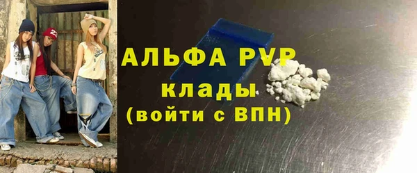 гашик Алексин