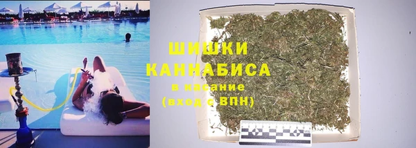 гидра Алексеевка
