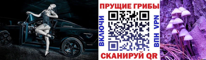 Псилоцибиновые грибы мухоморы  закладка  Большой Камень 