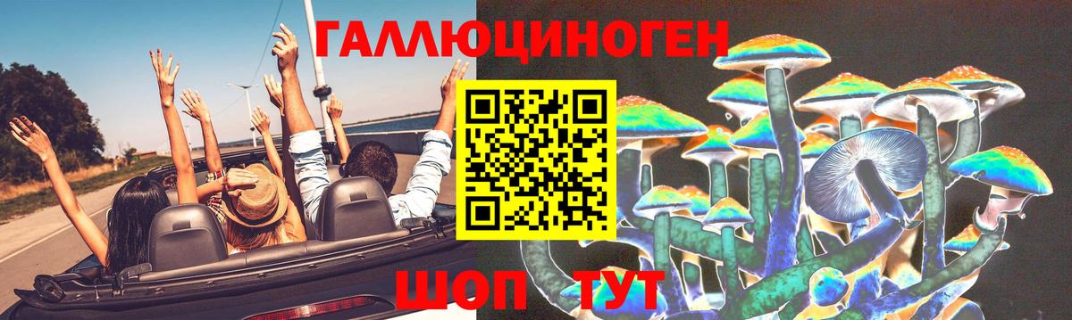 Большой Камень  Галлюциногенные грибы MAGIC MUSHROOMS  Вход с VPN 